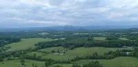 Peace-in-the-Forest Retreat - Singles, Couples, Artists, Forest Lovers - Alppimaja
