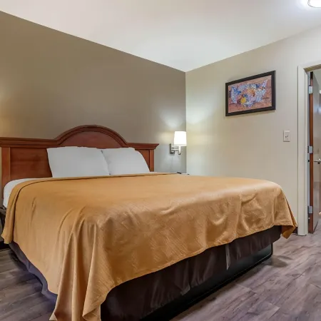 Econo Lodge Inn & Suites Hotels in Flowood