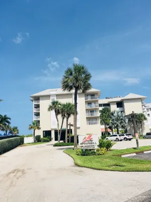 "Ocean Oasis" amazing views from direct beachfront condo on Hutchinson Island - Beach