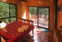 Springbrook Lyrebird Retreat - Alojamientos