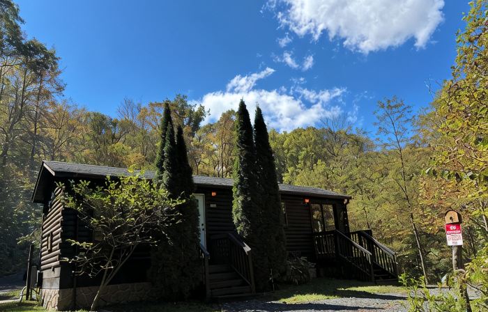 BEAUTIFUL LOG CABIN NEAR NEW RIVER HIKING STARGAZING WIFI NICE COUPLES RETREAT