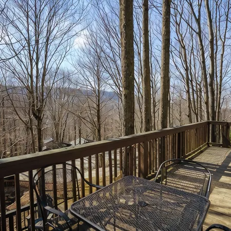 Charming Beech Mountain Chalet – 2BR + Loft - 5 Mins to Ski Slopes & Restaurants