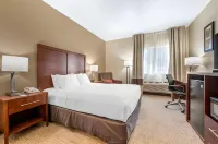 Comfort Inn Fremont - WiFi
