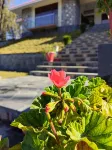 Husnain Resort by Saud Khan
