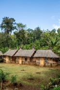 Asaro Mudman Cultural Lodge