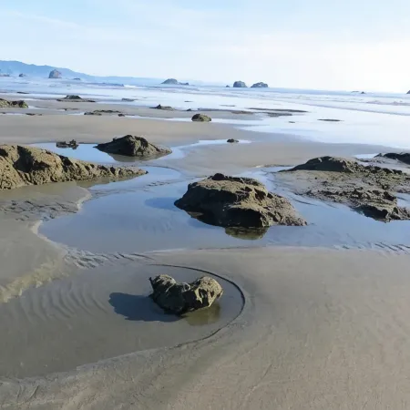 Coastal Cove Beach Bungalow! Beach Walks, Whale Watching, Agatha Hunting & More!