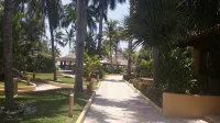 Luxury And Peaceful Little Condo With Direct Access To The Beach