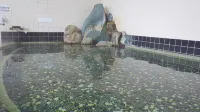 Nagaoka Kamaburo Onsen Ryokan - Varme kilder