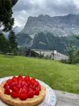 Eiger View Alpine Lodge - Dağ Manzaralı
