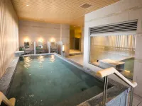 Hotel Shiroyama - Hot Springs