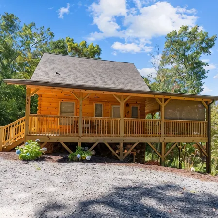 Gorgeous CABIN! Huge Deck, Mountain Views,12 min to Dwtn AVL!!!