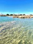 Lawrence's Tree Haus on the Llano River - 2つ星