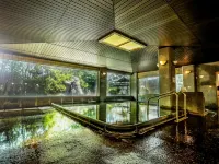 Nara Park Hotel - Thermen