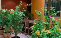 Chi Hieu Hotel - parking