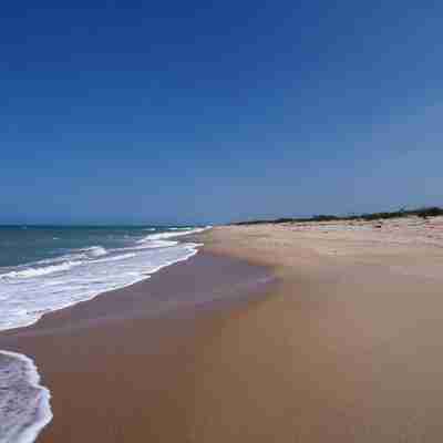 Modern Stay, Full Kitchen, 1 Block from the Beach. Fitness & Recreational Facilities