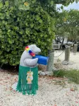 Tropical Retreat in the Heart of the Keys - อ่างจากุชชี่
