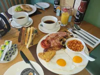 Geckos Rest - 4-Star