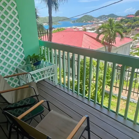 The Green Iguana Hotel