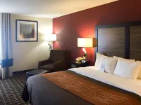 Quality Inn Edmund Pettus Bridge Area Отели рядом с достопримечательностью «Стердивант Холл Музеум»