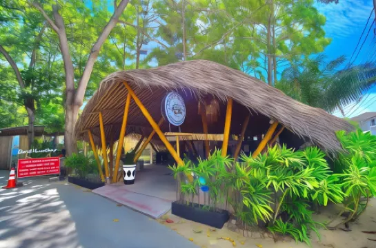 บีช เฮาส์ แคมป์