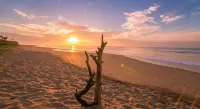 Ananya Beach Resort Hotels in Hambantota