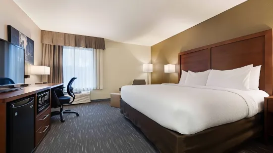 Best Western Chicago - Downers Grove