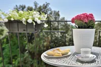 Insula House B&B