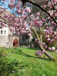 Pension Marienhof Hotels in Alken