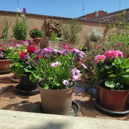 Pensión Las Matillas