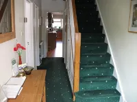 Green Haven Guest House - Homestays