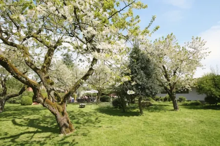 Bundt's Hotel & Gartenrestaurant Отели в г. Финкенвердер