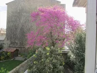 Aude Cité-City