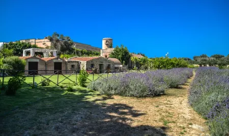 Naturalis Bio Resort Отели в г. Martignano