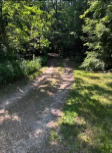 2 Queen and 2 Twin Beds