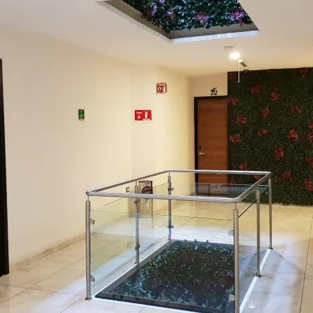 Hotel Leones