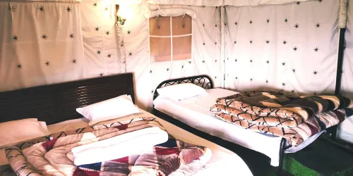 Pine pioneer the eco resort