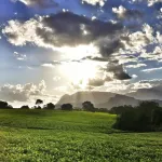 AfricaWildTruck Eco Camp & Lodge