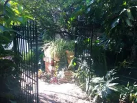 Casa Flores Bed & Breakfast Hotele w: Ajijic
