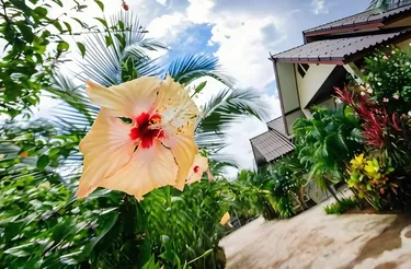 รูปภาพของสุวิมล รีสอร์ต