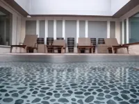 Crowne Plaza ZURICH by IHG - Swimmingpools