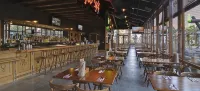 Treasure Island – TI Las Vegas Hotel  & Casino - bar