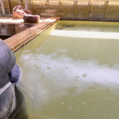 スパ・大浴場 弥彦温泉 お宿 だいろくの写真