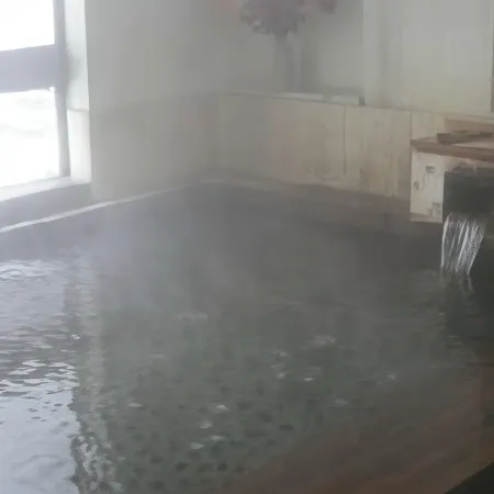 Shiriyakionsen Hotel Kozanso