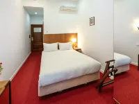 Hotel Pushkin فنادق في تفير