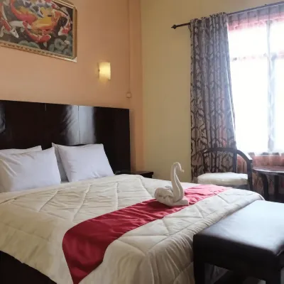 Syafira Hotel Tual Langgur Hotel di 