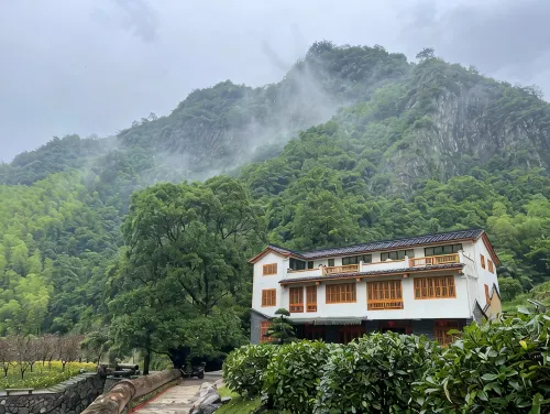 Floral Hotel  · Pan'an chujianshanshe hotel
