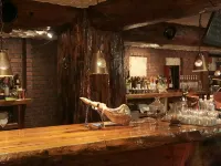 Forest Inn Sangoro - bars