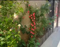 Weihui Mengyuan Homestay