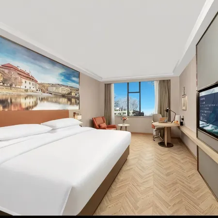 Vienna Hotel (Nagqu Baingoin)