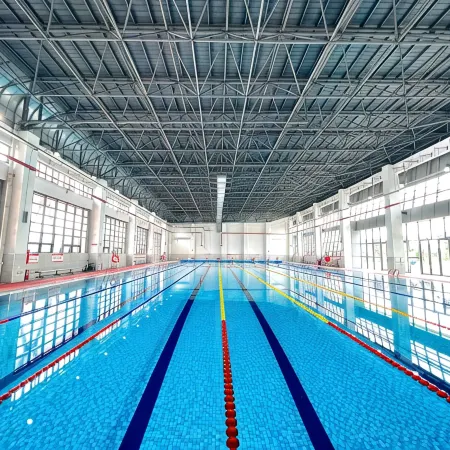 Chuancheng Meisu (Dawang Hi-Tech)